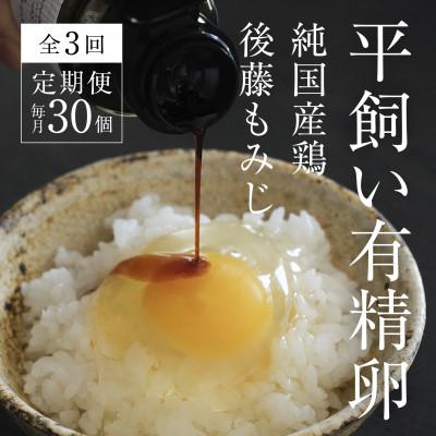 ふるさと納税 西粟倉村 [毎月定期便]平飼い有精卵 30個[西粟倉村][株式会社点々]全3回