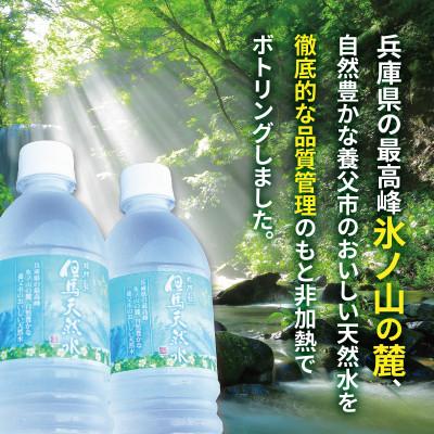 ふるさと納税 兵庫県 但馬の天然水 550mlペットx48本(2ケース)【複数