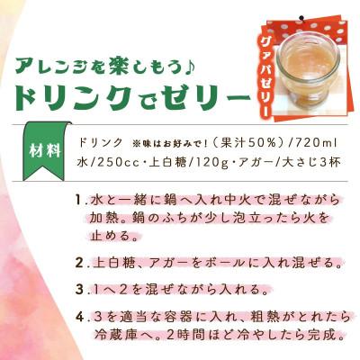 ふるさと納税 串間市 【毎月定期便】驚きの果実感!グァバ・パッションフルーツドリンク2本セット(各720ml)全3回の画像