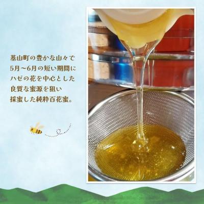 ふるさと納税 基山町 【毎月定期便】みよしの百花蜜 220g×2本全2回の画像