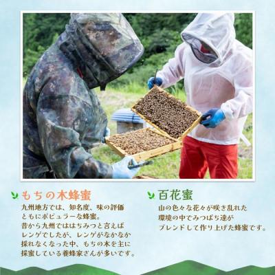 ふるさと納税 基山町 【毎月定期便】みよしのみつ(百花蜜・もちの木)220g×2本全2回の画像