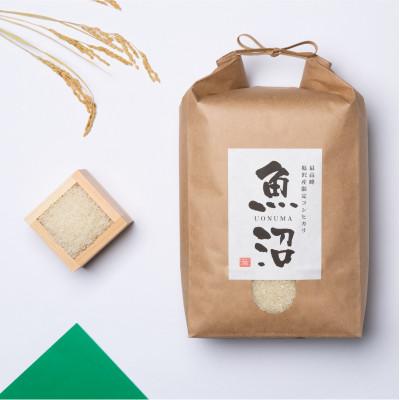 ふるさと納税 南魚沼市 [毎月定期便]南魚沼産コシヒカリ5kg 旧塩沢地区産限定全6回