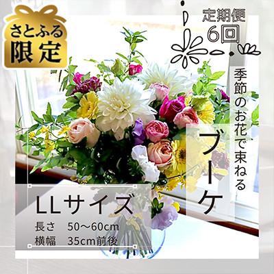 ふるさと納税 筑西市 [毎月定期便][さとふる限定]季節のお花で束ねたブーケ[花瓶用]/LLサイズ全6回
