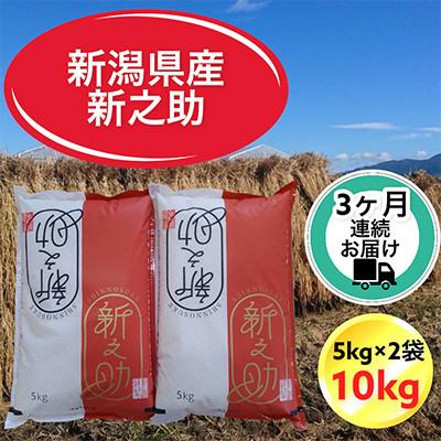 ふるさと納税 胎内市 [毎月定期便][3ヶ月連続お届け]新潟県胎内市産新之助 精米 10kg(5kg×2袋)全3回