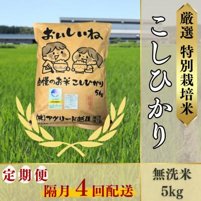 ふるさと納税 柏崎市 [2ヵ月毎定期便]無洗米コシヒカリ5kg◆大粒厳選◆厳選特別栽培米全4回