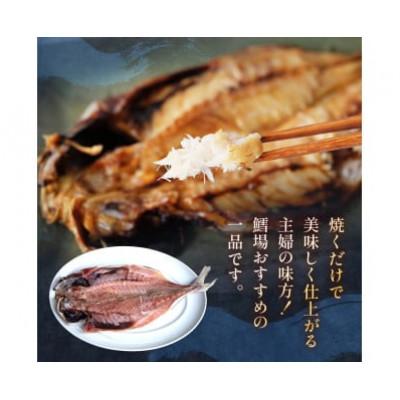 ふるさと納税 氷見市 【毎月定期便】【訳あり】あじの干物(約30cm)6枚全6回の画像