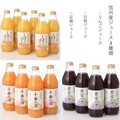 ふるさと納税 千曲市 [毎月定期便]信州産ジュース3種類(りんごジュース、白桃ジュース、巨峰ジュース)全3回
