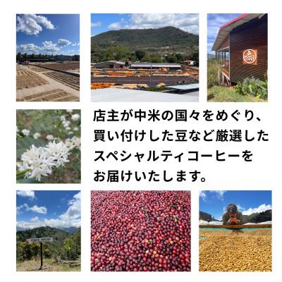 ふるさと納税 豊川市 【毎月定期便】毎月違うコーヒー粉をお届け スペシャルティコーヒー 粉 1kg全6回の画像