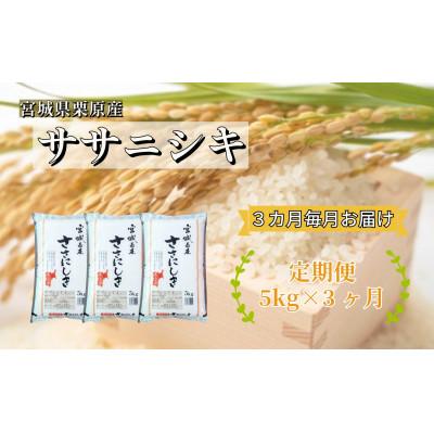 ふるさと納税 栗原市 [毎月定期便]ササニシキ白米5kg(5kg×1袋) 宮城県栗原産全3回
