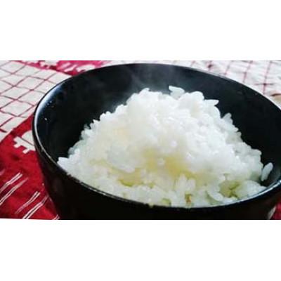 ふるさと納税 上越市 [2ヵ月毎定期便]「Riki-Sakuコシヒカリ」アフコ秋山農場5kg全6回