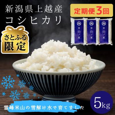 ふるさと納税 上越市 [発送月固定定期便][さとふる限定]新潟県上越産コシヒカリ(精米)5kg全3回