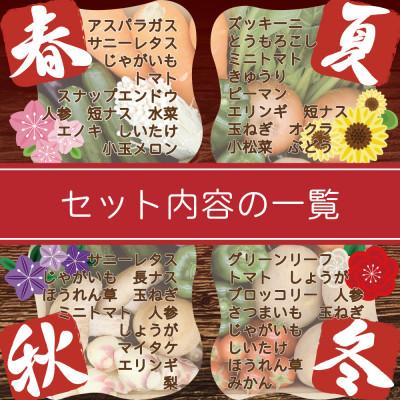 ふるさと納税 南島原市 【発送月固定定期便】野菜果物セット 野菜(キノコ)・フルーツ 11品目以上 奇数月コース全6回_3