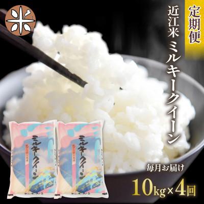 ふるさと納税 竜王町 [毎月定期便]ミルキークイーン 白米10kg (5kg×2袋)全4回