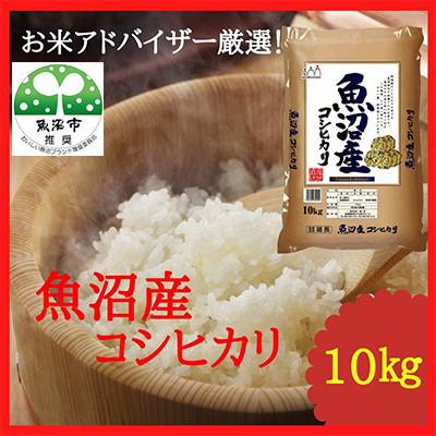 ふるさと納税 魚沼市 [毎月定期便]『お米アドバイザー厳選!』魚沼産コシヒカリ 精米10kg全2回