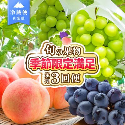 ふるさと納税 笛吹市 [発送月固定定期便]2026年発送 桃 黒ぶどう シャインマスカット全3回
