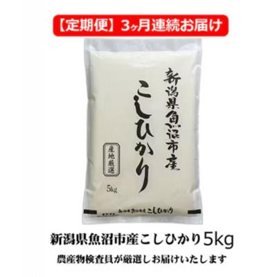 ふるさと納税 魚沼市 [毎月定期便]農産物検査員お奨め 魚沼産こしひかり(精米)5kg全3回