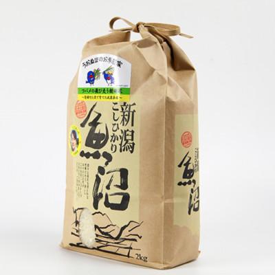 ふるさと納税 魚沼市 [毎月定期便]ツバメの飛び交う棚田米 精米2kg全3回