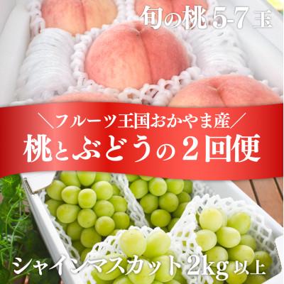 ふるさと納税 真庭市 [発送月固定定期便]量も質も満足便! 桃とシャインマスカットどっちも食べたい!(岡山県産)全2回