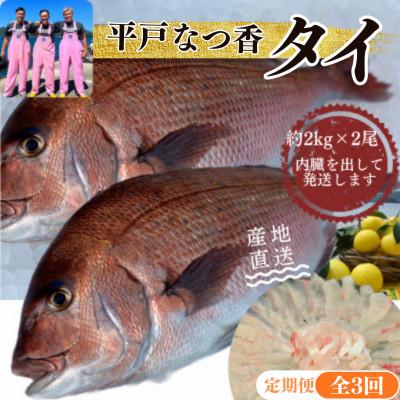 ふるさと納税 平戸市 [毎月定期便][長崎県平戸フルーツ魚]平戸なつ香タイ 1匹 約2kg×2尾全3回