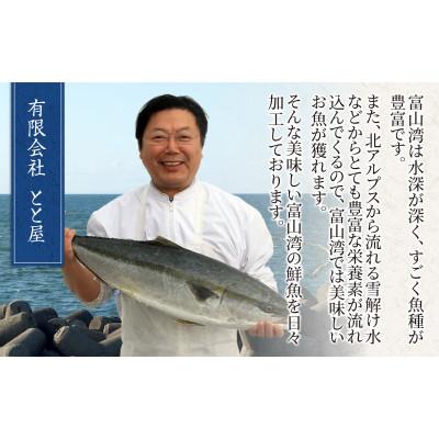 ふるさと納税 滑川市 【毎月定期便】【訳あり】塩ぶり 切り身 約60g×10パック全6回の画像