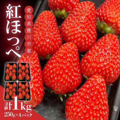 ふるさと納税 豊川市 [発送月固定定期便]紅ほっぺ[250g×4パック]冷凍いちご紅ほっぺ1kg入り×2袋計2kg全12回