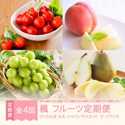 ふるさと納税 村山市 [発送月固定定期便]フルーツ定期便[楓]全4回