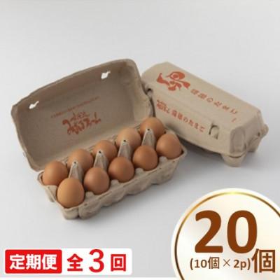 ふるさと納税 京丹波町 [毎月定期便]瑞穂の赤たまご 20個 卵かけご飯はもちろん、オムレツや卵焼き様々な料理に全3回