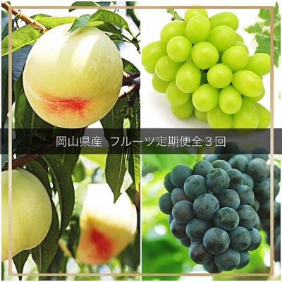 ふるさと納税 倉敷市 [発送月固定定期便]岡山県産 フルーツ定期便全3回