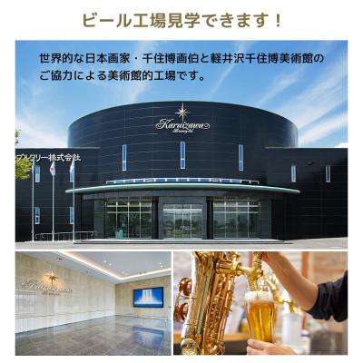ふるさと納税 佐久市 【毎月定期便】THE軽井沢ビール 9種 5瓶10缶 クラフトビール 飲み比べギフト全2回の画像