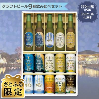 ふるさと納税 佐久市 [毎月定期便][さとふる限定]THE軽井沢ビール9種5瓶10缶クラフトビール飲み比べ全5回