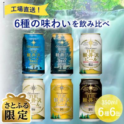 ふるさと納税 佐久市 [毎月定期便][さとふる限定]THE軽井沢ビール6種6缶クラフトビール飲み比べ全5回