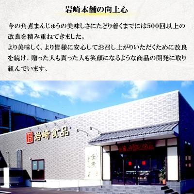 ふるさと納税 長崎市 【毎月定期便】【岩崎本舗】 角煮まんじゅう5個・角煮まぶし5袋(長崎市)全3回