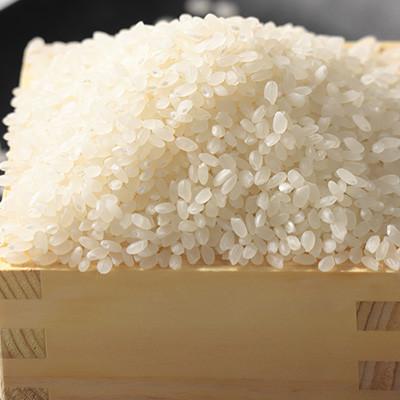 ふるさと納税 大潟村 【毎月定期便】あきたこまち 上げ米 30kg(5kg×6袋)全12回