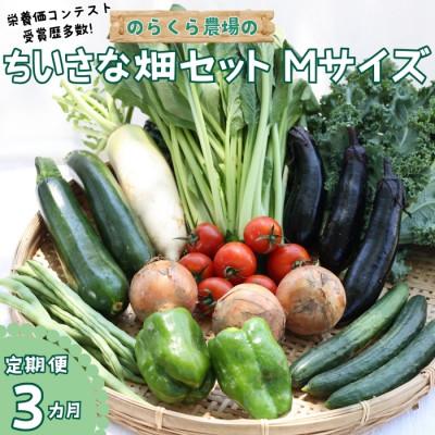 ふるさと納税 佐久穂町 [毎月定期便]信州北八ヶ岳からお届け〜のらくら農場の旨み野菜セット〜9種類前後(Mサイズ)全3回