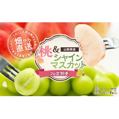 ふるさと納税 中央市 [発送月固定定期便]山梨県産 フルーツ[桃&amp;シャインマスカット]全2回