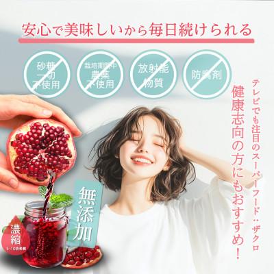 ふるさと納税 福岡県 【毎月定期便】魅惑ザクロNMNBoost(福岡県返礼品)【3袋入り】全3回の画像