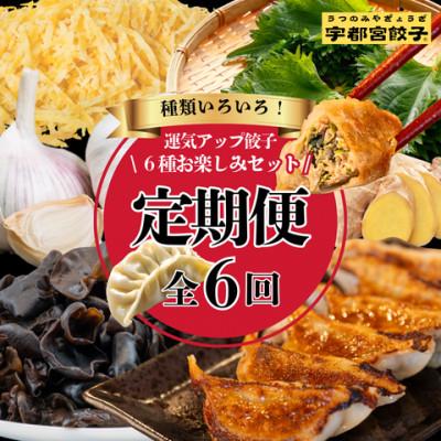 ふるさと納税 宇都宮市 [毎月定期便]宇都宮餃子 運気アップ餃子6種お楽しみコース (毎月1種・18個入り・冷凍)全6回