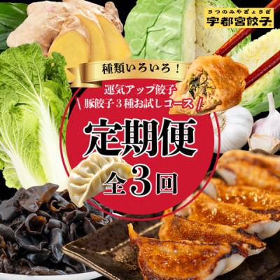 ふるさと納税 宇都宮市 [毎月定期便]宇都宮餃子 運気アップ豚餃子3種お試しコース(毎月1種・18個入り・冷凍)全3回
