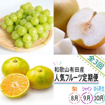 ふるさと納税 有田川町 [発送月固定定期便]和歌山有田産の人気フルーツ定期便[梨・シャインマスカット・ゆら早生みかん]全3回