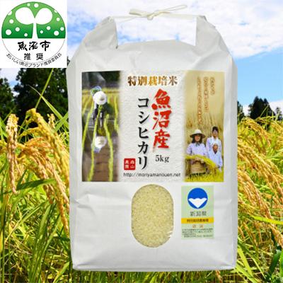 ふるさと納税 魚沼市 [毎月定期便]森山農園特別栽培米魚沼産コシヒカリ(新潟県認証)5kg全2回