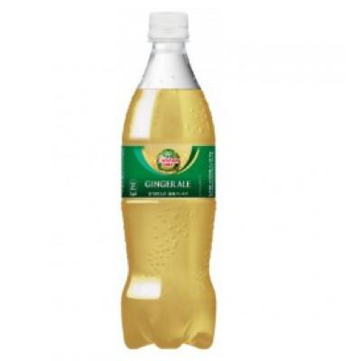 ふるさと納税 鳥栖市 【毎月定期便】ジンジャーエール700ml1箱(鳥栖市)全3回の画像