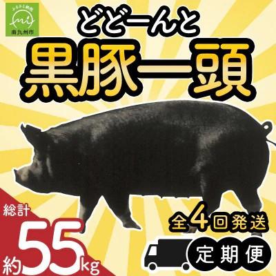 ふるさと納税 南九州市 [発送月固定定期便]どどーんと黒豚1頭(※総計55kg)全4回