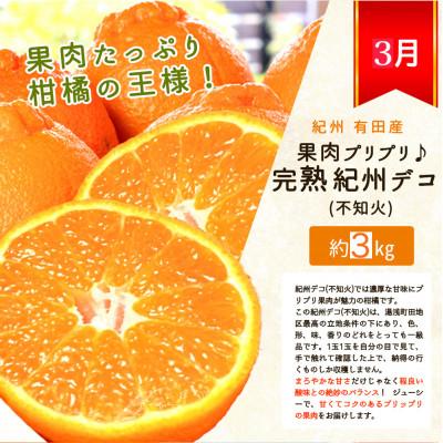ふるさと納税 美浜町 【発送月固定定期便】紀州和歌山産旬のフルーツセット(いちご2P・ポンカン・紀州デコ約3kg)全3回_3