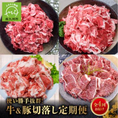 ふるさと納税 南九州市 [発送月固定定期便]使い勝手抜群!牛&amp;豚切落し定期便(南九州市)全4回
