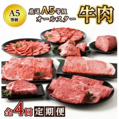 ふるさと納税 南九州市 [発送月固定定期便]厳選A5等級オールスター牛肉定期便(南九州市)全4回