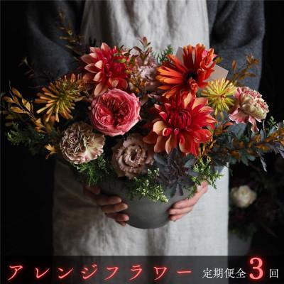 ふるさと納税 中間市 [毎月定期便][margue]季節のアレンジメントフラワーA全3回
