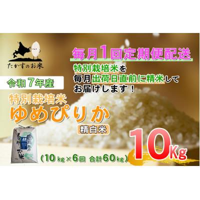 ふるさと納税 鷹栖町 [発送月固定定期便]令和7年産 たかすのお米 特別栽培米 ゆめぴりか 10kg(精白米)全6回
