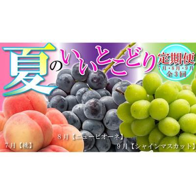 ふるさと納税 丸亀市 [発送月固定定期便][7・8・9月]夏のいいとこどり定期便全3回