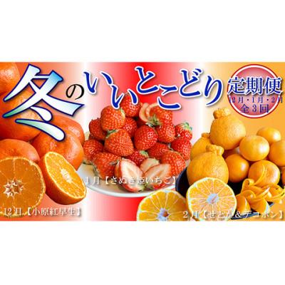 ふるさと納税 丸亀市 [発送月固定定期便][定期便3回(12・1・2月)]冬のいいとこどり定期便全3回