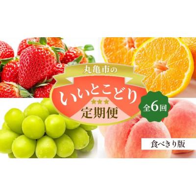 ふるさと納税 丸亀市 [発送月固定定期便][ミニ6回(7・8・9・12・1・2月)]少量版丸亀市のいいとこどり定期便全6回